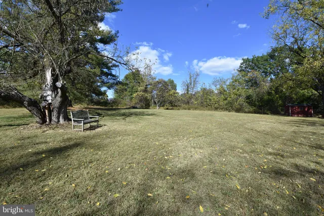 a view of backyard with large trees