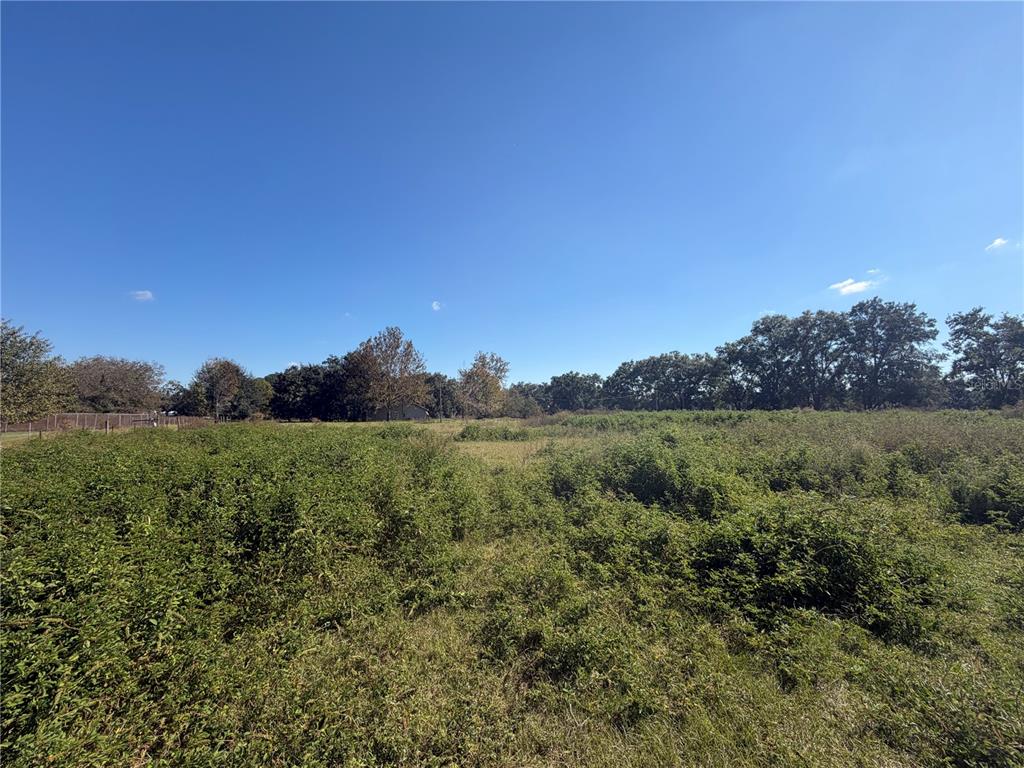 Tbd Northeast 25th Avenue Anthony, FL 32617 - Photo 8 of 12 a view of a lush green outdoor space with a swimming pool and valleys in the background