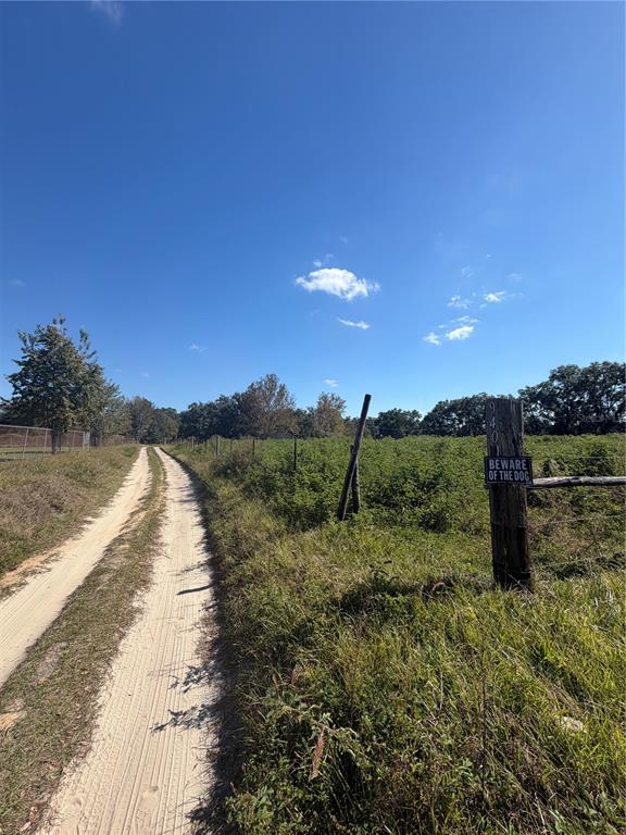 Tbd Northeast 25th Avenue Anthony, FL 32617 - Photo 9 of 12 a view of a yard with an outdoor space