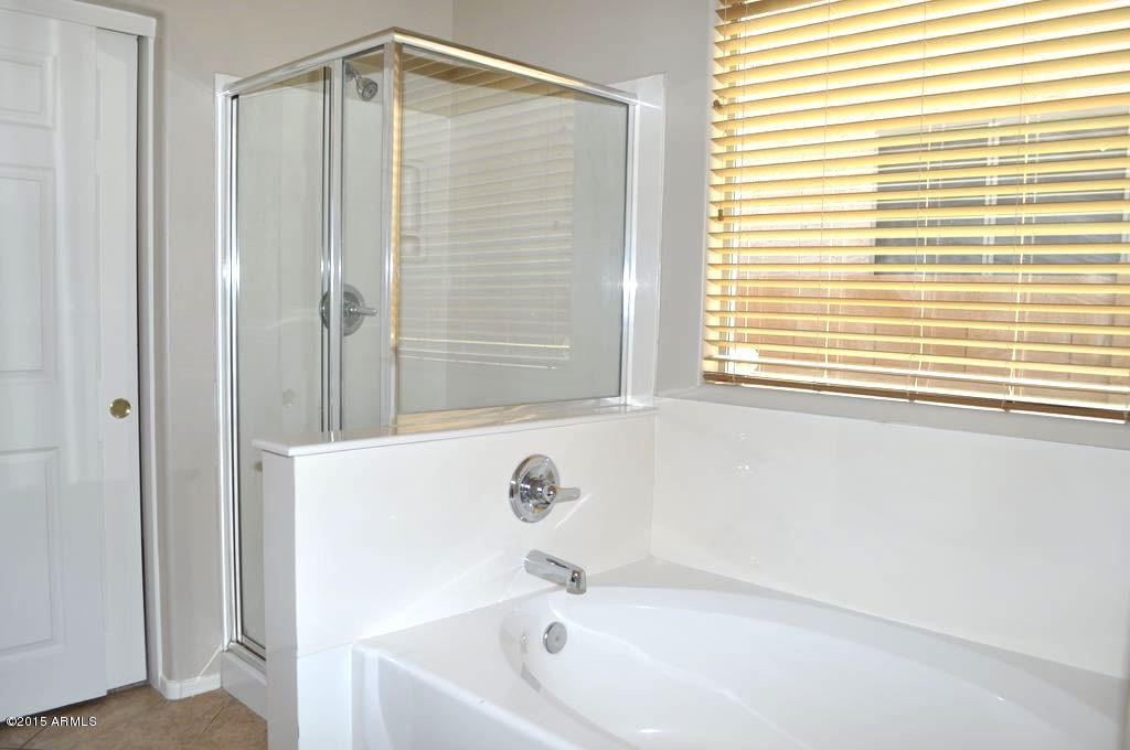 9431 West Heber Road Tolleson, AZ 85353 - Photo 13 of 17 MASTER BATH2