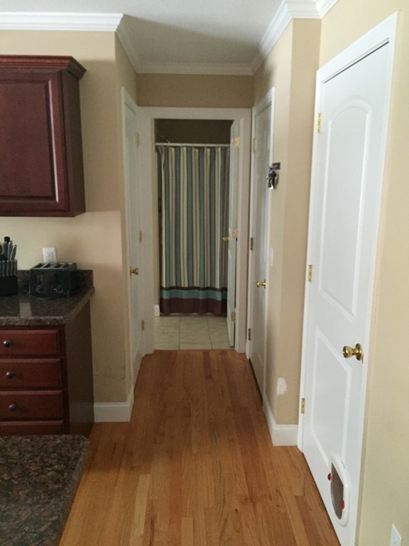 19 Wing Street Springfield, MA 01151 - Photo 5 of 29