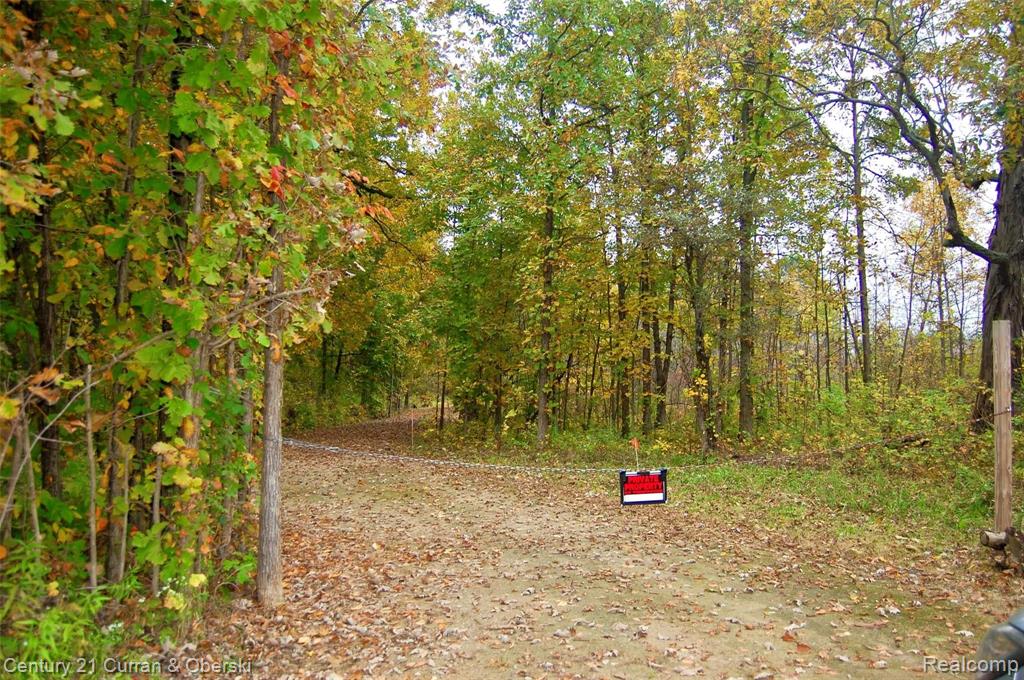 Vacant North Latson Road Howell, MI 48855 - Photo 23 of 33