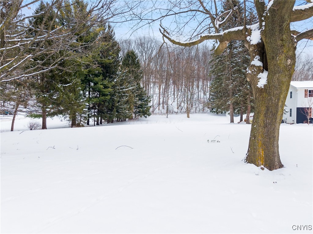 1077 Nottingham Road De Witt, NY 13078 - Photo 18 of 20