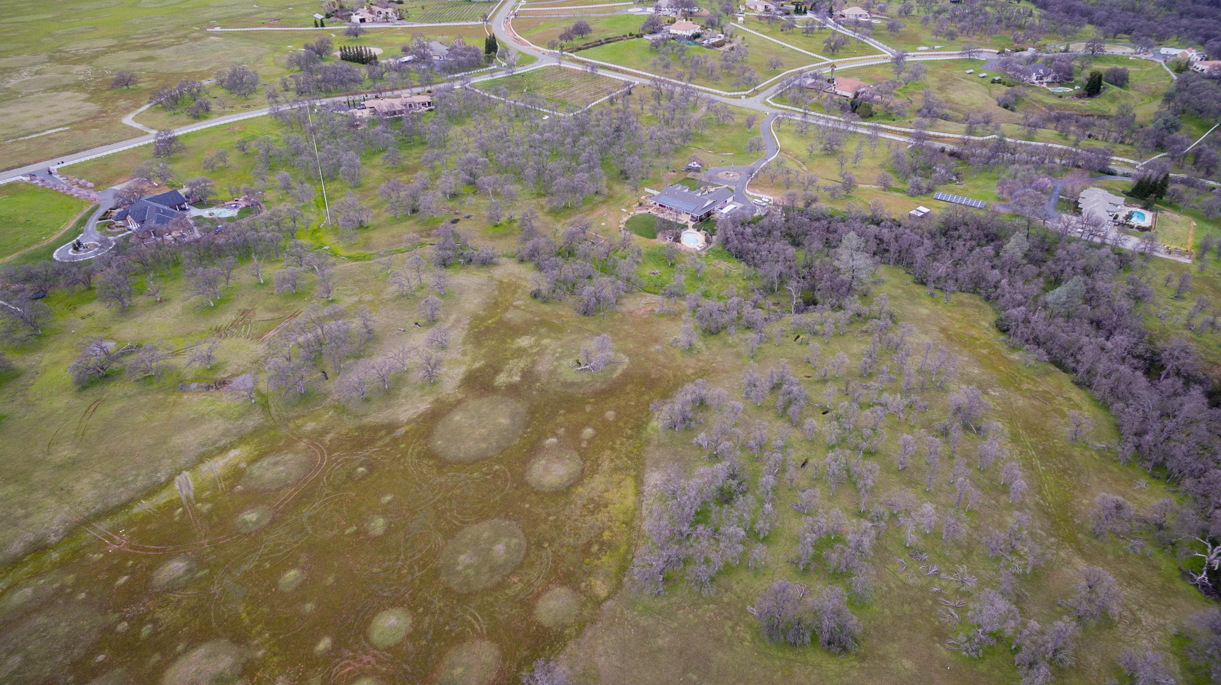 Tbd Del Rico Court Palo Cedro, CA 96073 - Photo 13 of 23 DJI_0011