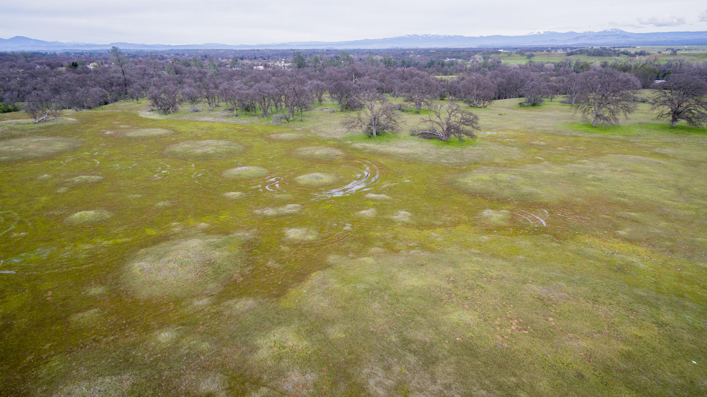 Tbd Del Rico Court Palo Cedro, CA 96073 - Photo 17 of 23 DJI_0018