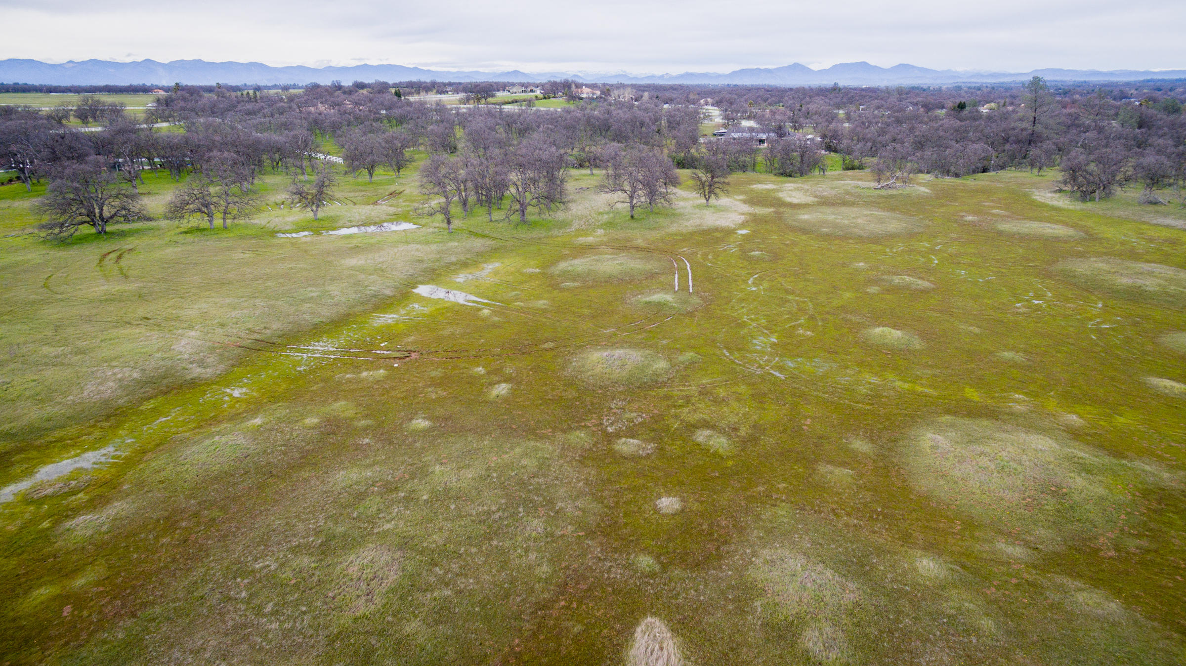 Tbd Del Rico Court Palo Cedro, CA 96073 - Photo 18 of 23 DJI_0019