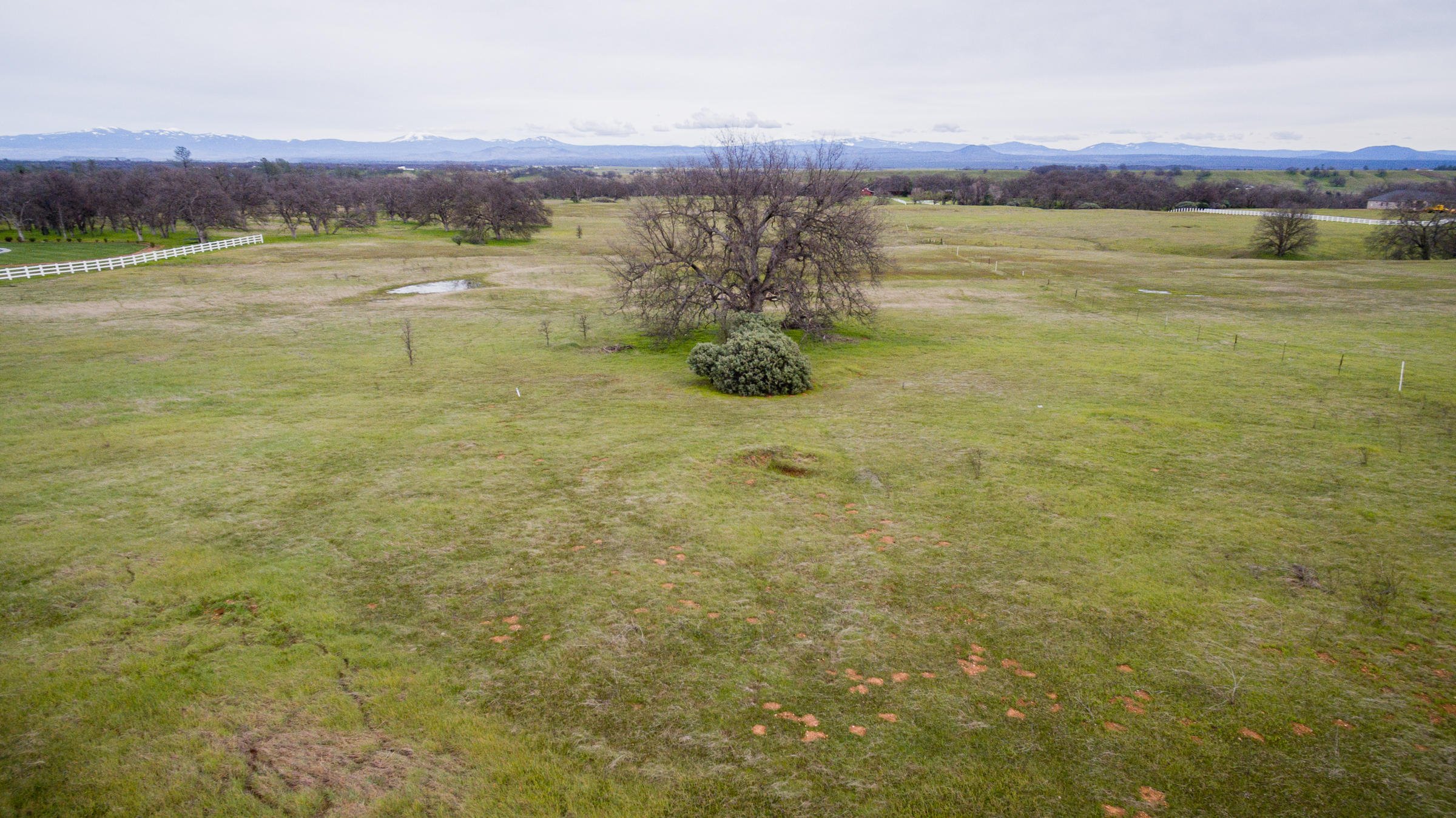 Tbd Del Rico Court Palo Cedro, CA 96073 - Photo 22 of 23 DJI_0023
