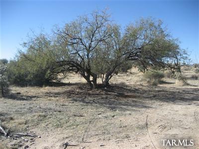 13771 West Hunt Road Tucson, AZ 85736 - Photo 5 of 11