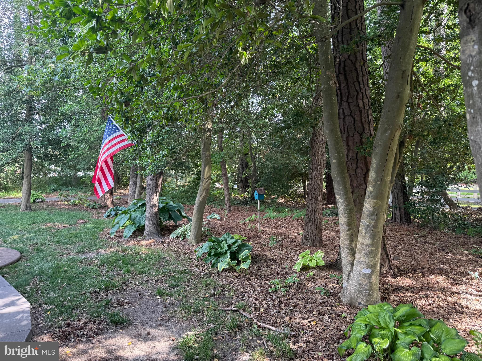 34167 High Knoll Road Lewes, DE 19958 - Photo 41 of 50 serene view of backyard
