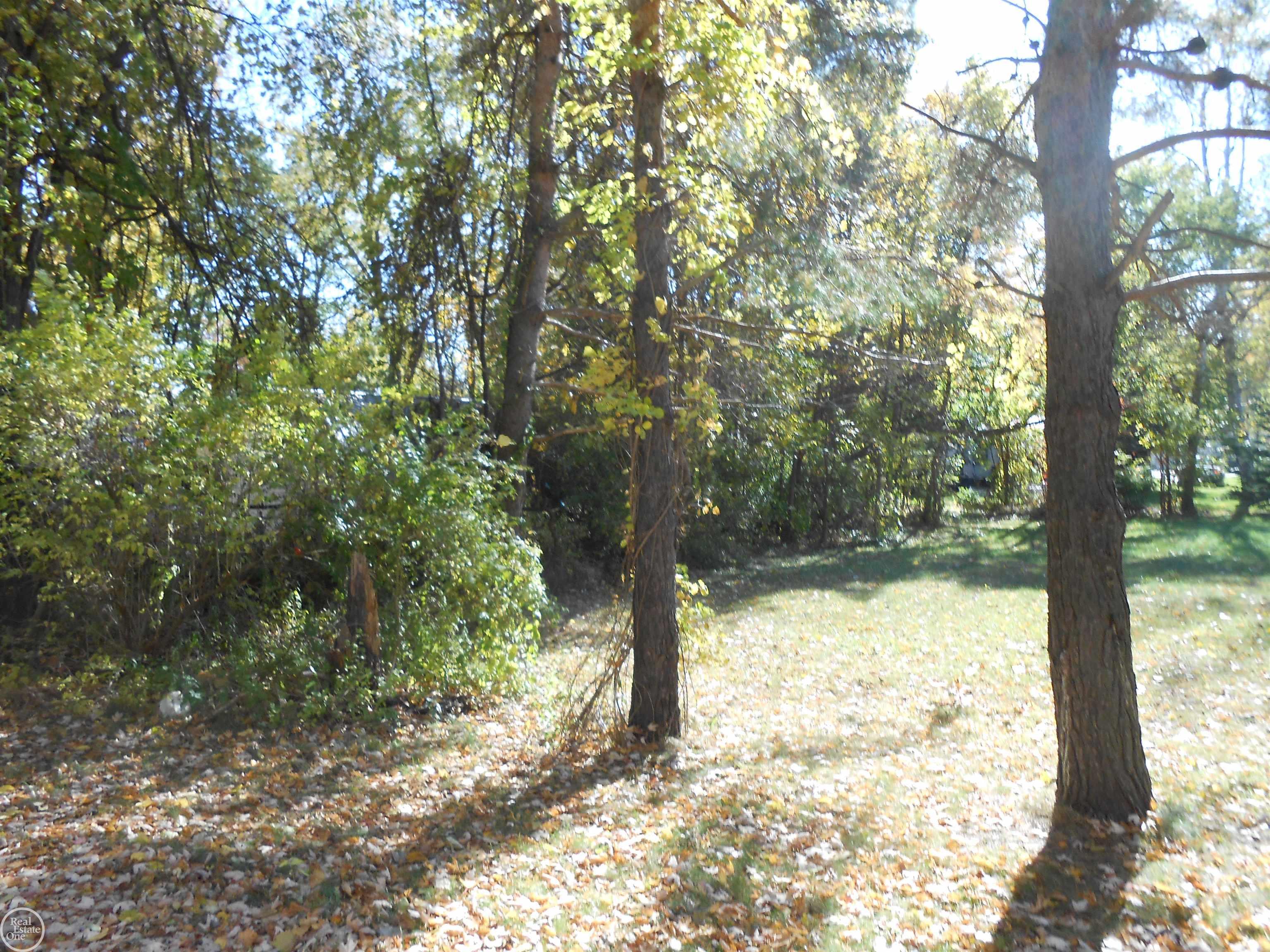 Vl Dogwood Road Lexington, MI 48450 - Photo 2 of 2