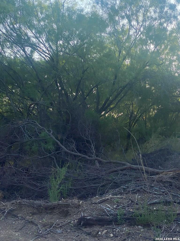 496 D D Chavarria Road Eagle Pass, TX 78852 - Photo 5 of 6