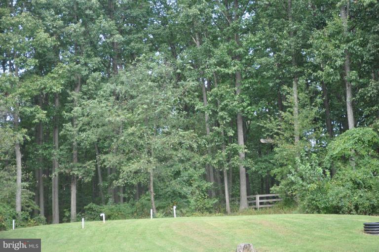 1559 Stone Chapel Road New Windsor, MD 21776 - Photo 8 of 12 DO DO DO LOOKIN OUT MY BACK DOOR!
