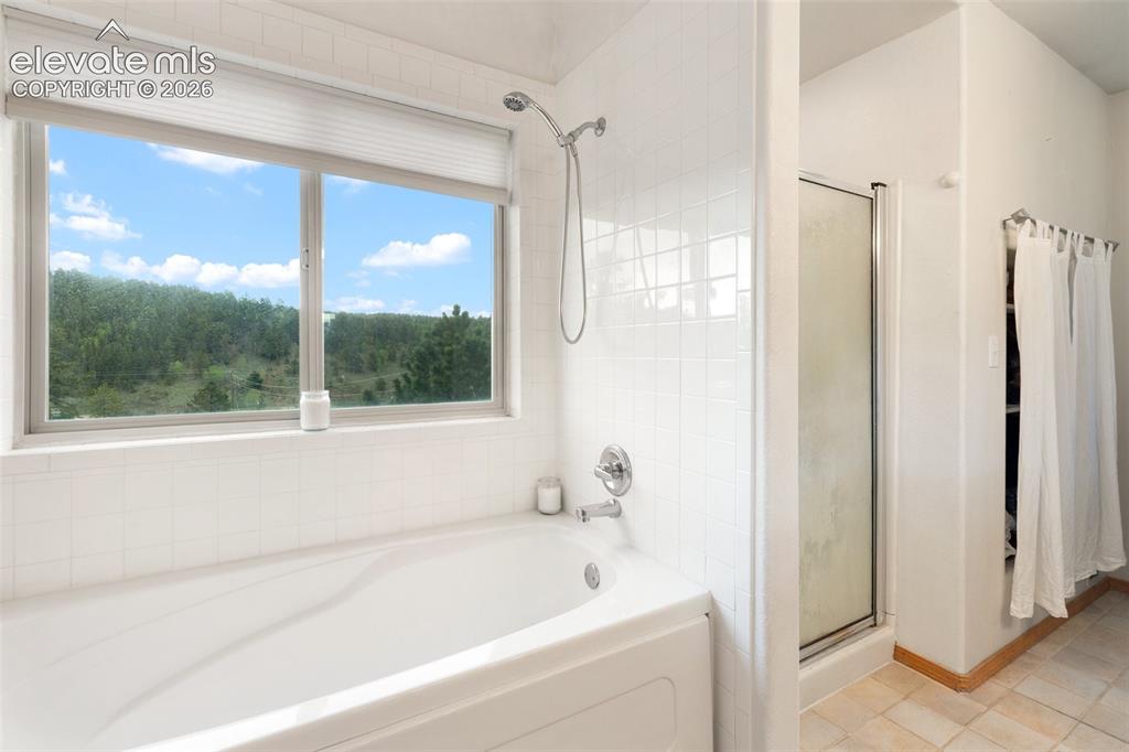 996 Spring Valley Drive Divide, CO 80814 - Photo 26 of 47 Primary