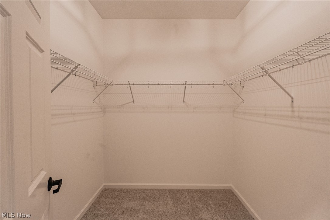 4495 Messerly Road Canfield, OH 44406 - Photo 12 of 24 Master closet