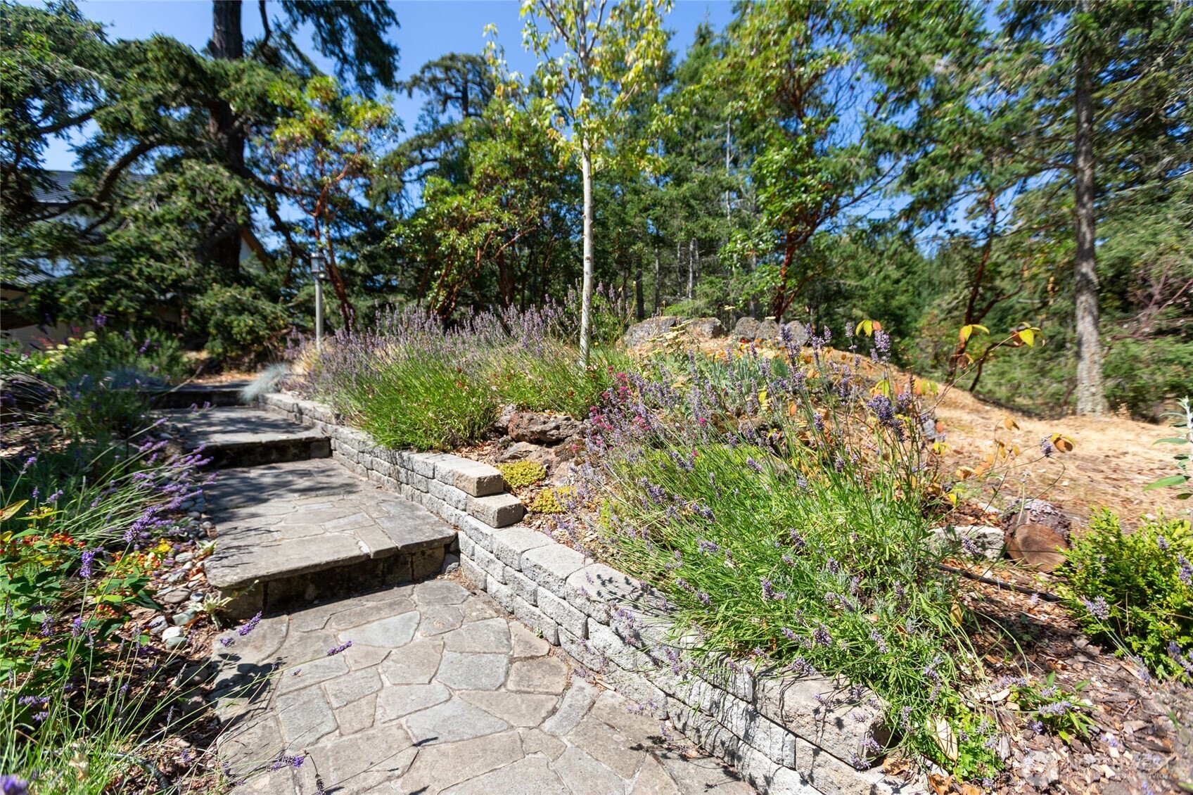 439 Hannah Road Friday Harbor, WA 98250 - Photo 8 of 40 Gallery Image 8