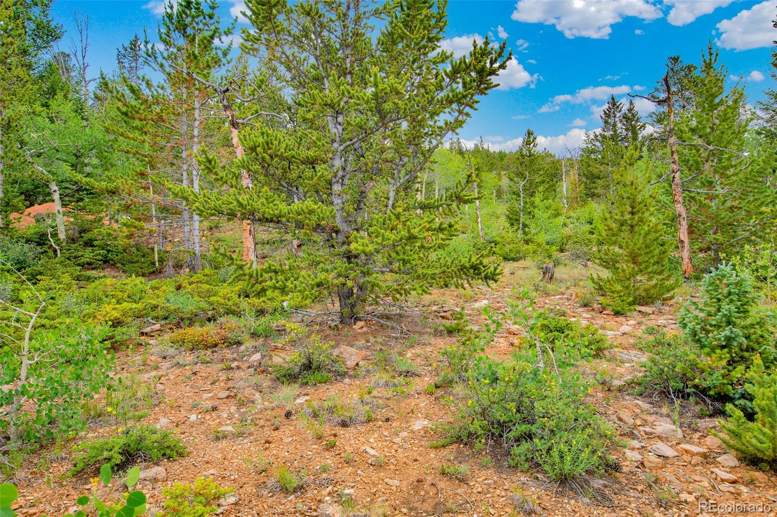 751 Lamb Mountain Road Fairplay, CO 80440 - Photo 16 of 31 a view of a garden