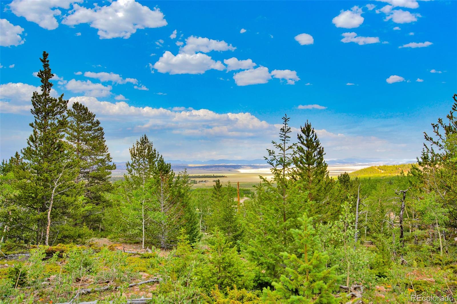 751 Lamb Mountain Road Fairplay, CO 80440 - Photo 21 of 31 a view of a big yard with lots of green space