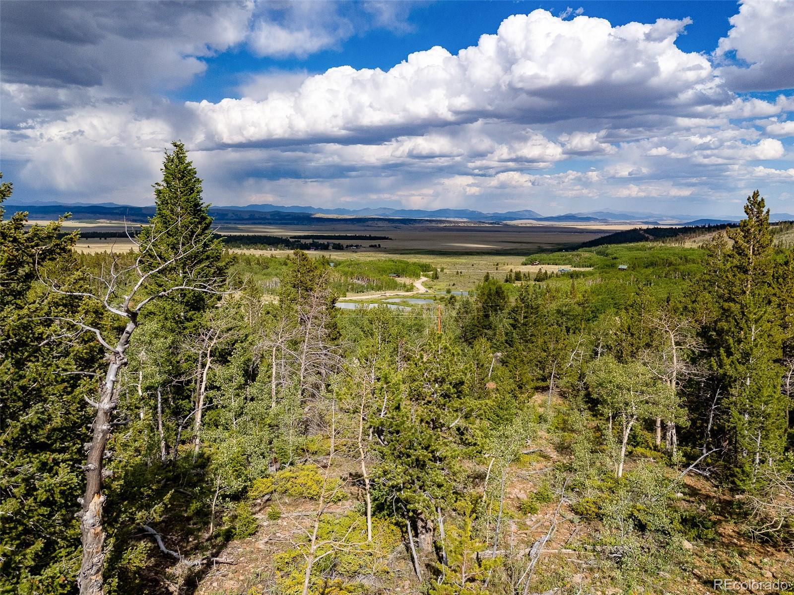 751 Lamb Mountain Road Fairplay, CO 80440 - Photo 7 of 31