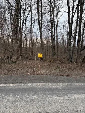 $39,900 | 0 Skinner Road, Richfield Springs, NY 13439