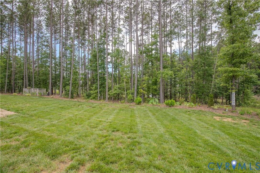 8406 Capernwray Drive Chesterfield, VA 23838 - Photo 11 of 47 a view of outdoor space with trees all around