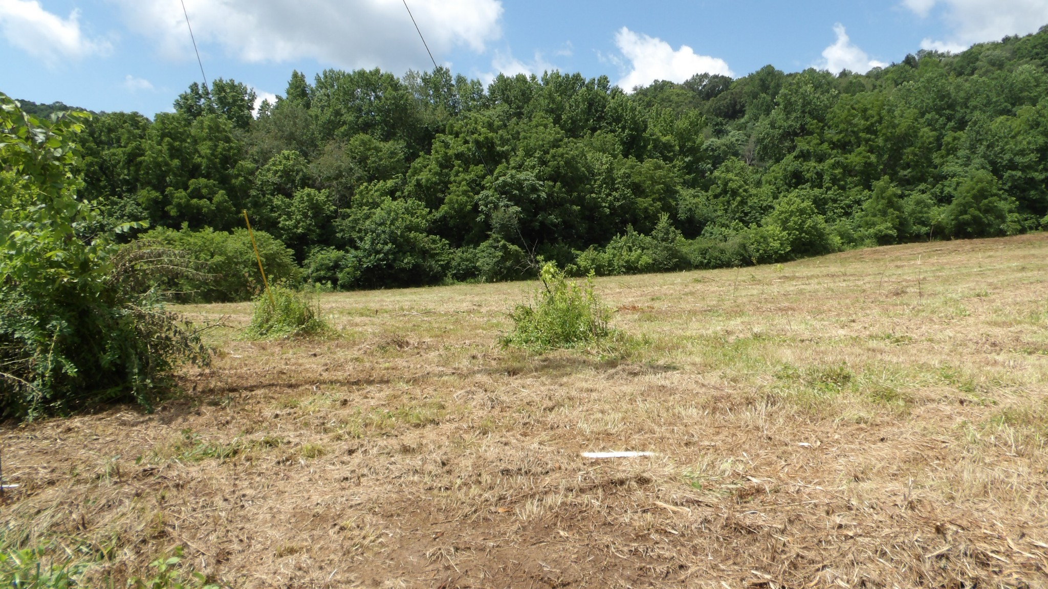0 Lonnie Reecer Road Celina, TN 38551 - Photo 2 of 44
