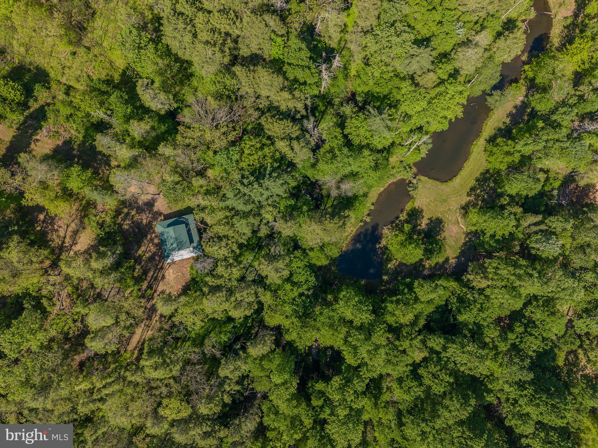1520 Lingle Valley Road Milroy, PA 17063 - Photo 28 of 144 Secluded retreat amidst lush greenery.