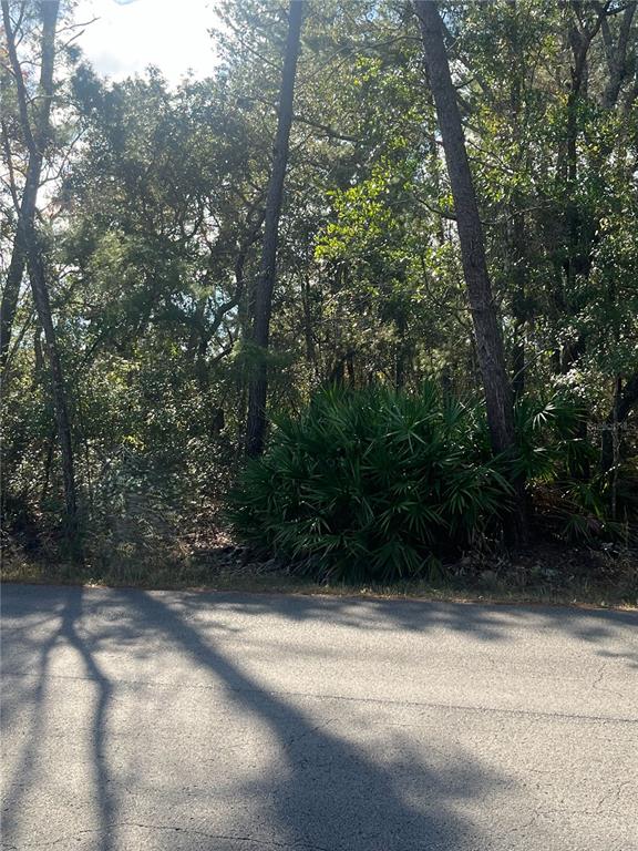 0 Yearling Avenue Spring Hill, FL 34606 - Photo 2 of 5 a view of outdoor space and yard