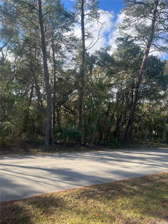 0 Yearling Avenue Spring Hill, FL 34606 - Photo 4 of 5