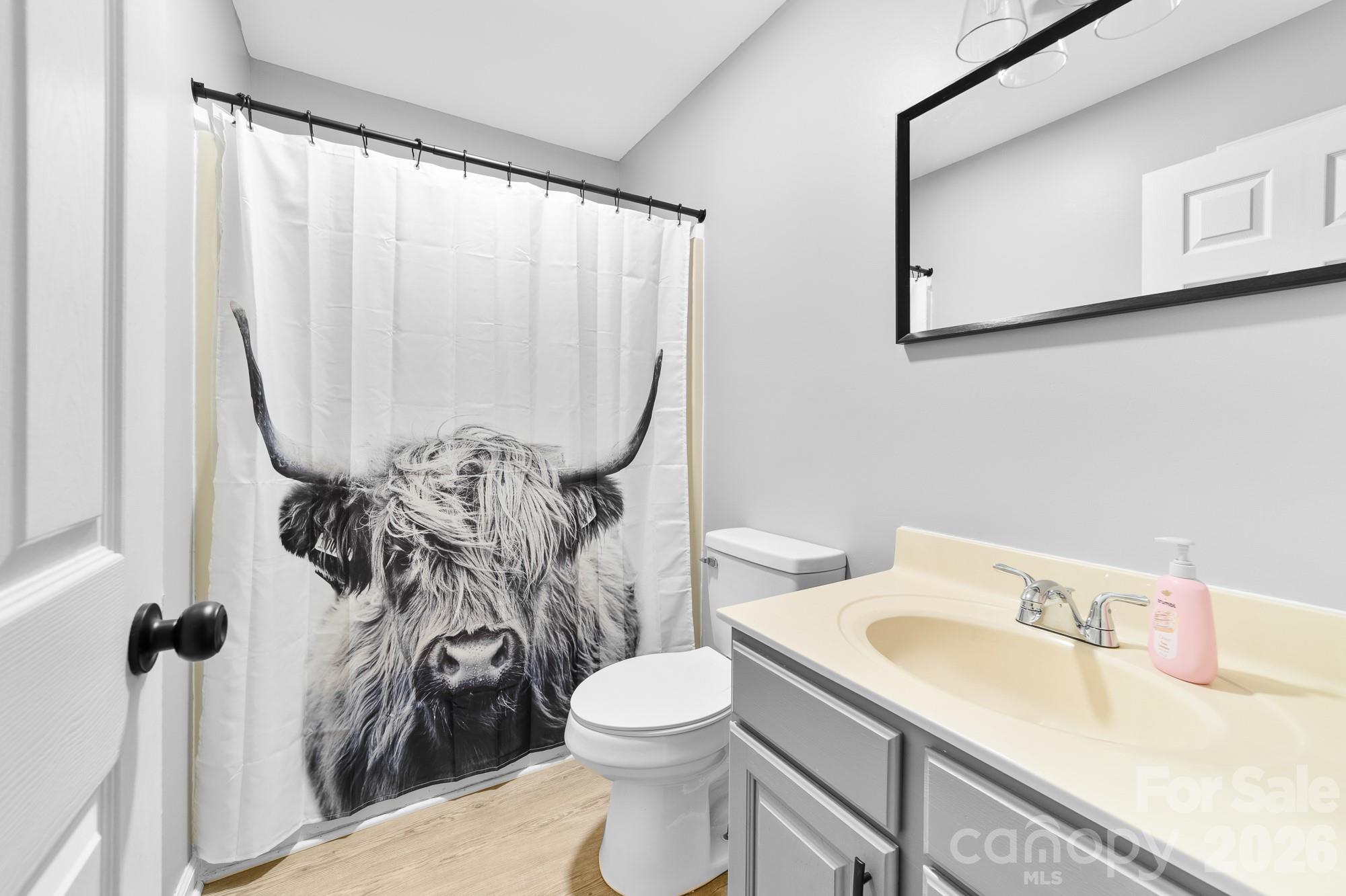 248 Jack McKinney Road Forest City, NC 28043 - Photo 28 of 29 a bathroom with a sink vanity mirror and toilet