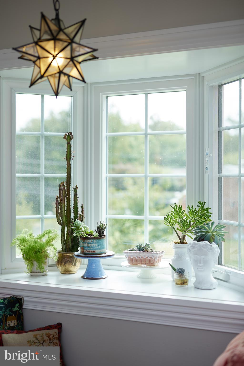 67 Eldrid Drive Silver Spring, MD 20904 - Photo 19 of 51 a potted plant sitting on a window sill and a sink