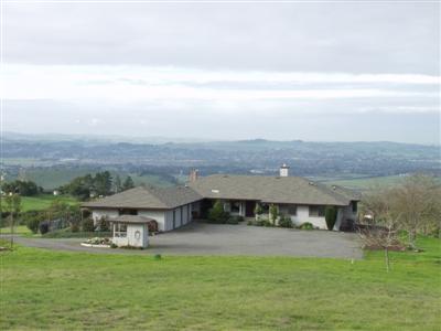 4820 Pressley Road Santa Rosa, CA 95404 - Photo 2 of 9 a view of a big yard with swimming pool in front of the house