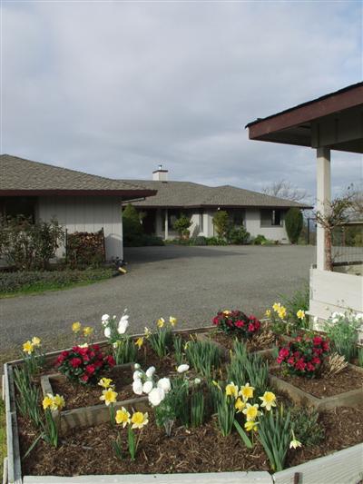 4820 Pressley Road Santa Rosa, CA 95404 - Photo 9 of 9 a front view of house with flowers