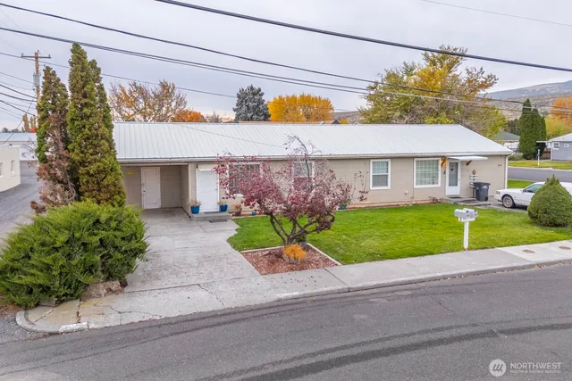 a view of a house with a small yard and a large tree