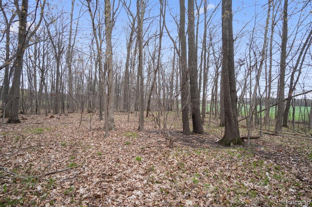 Vl Center Road Fenton, MI 48430 - Photo 7 of 16 Gallery Image 7
