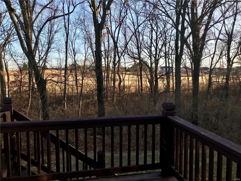 619 Timber Creek Trail O'Fallon, MO 63368 - Photo 39 of 43