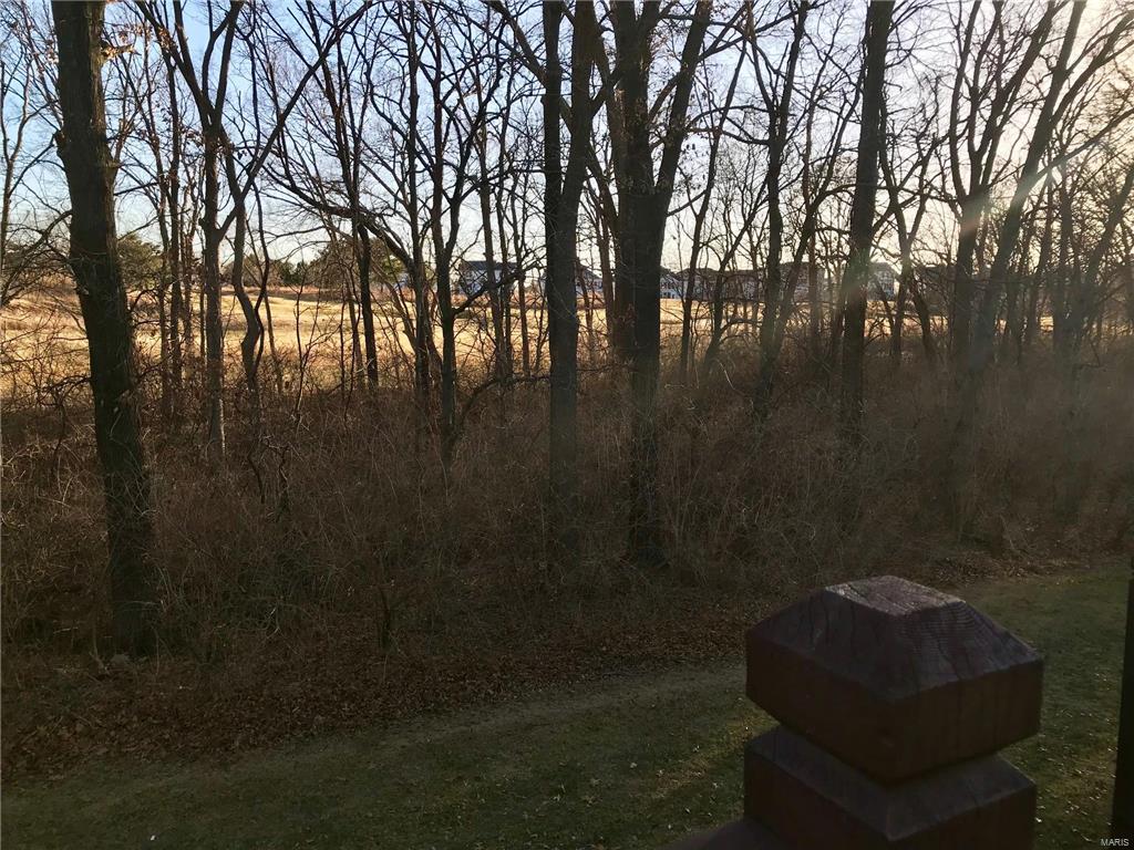 619 Timber Creek Trail O'Fallon, MO 63368 - Photo 40 of 43