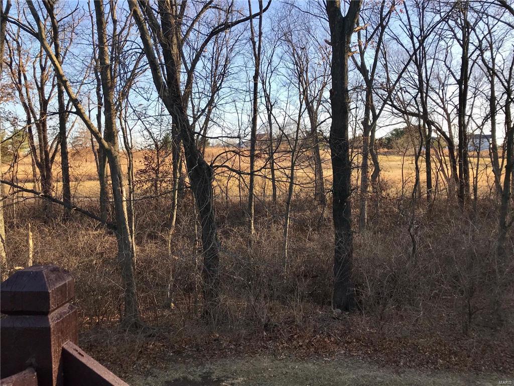 619 Timber Creek Trail O'Fallon, MO 63368 - Photo 41 of 43