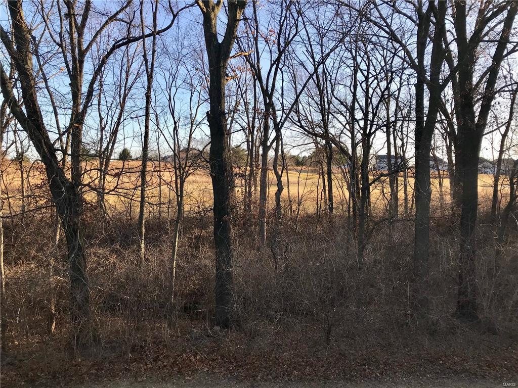 619 Timber Creek Trail O'Fallon, MO 63368 - Photo 42 of 43