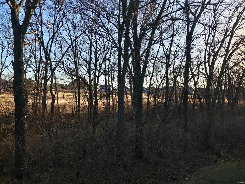 619 Timber Creek Trail O'Fallon, MO 63368 - Photo 43 of 43