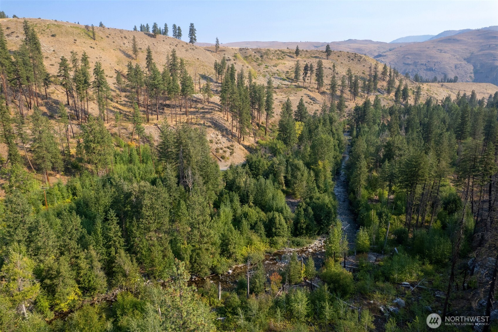 88-tbd Gold Creek Road Carlton, WA 98814 - Photo 15 of 39 a view of a city with lush green forest