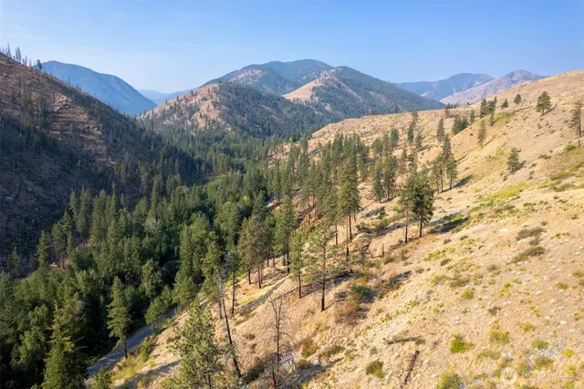 a view of a dry yard with mountains in the background