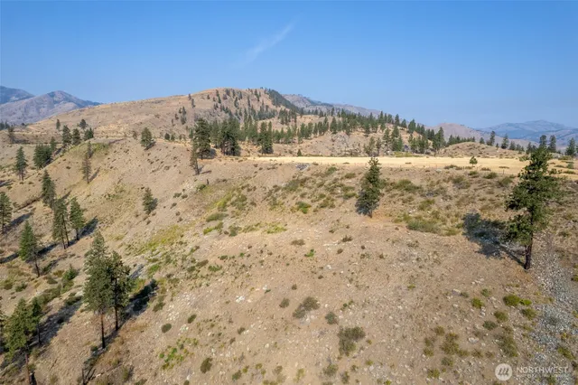 a view of a dry yard with mountains in the background
