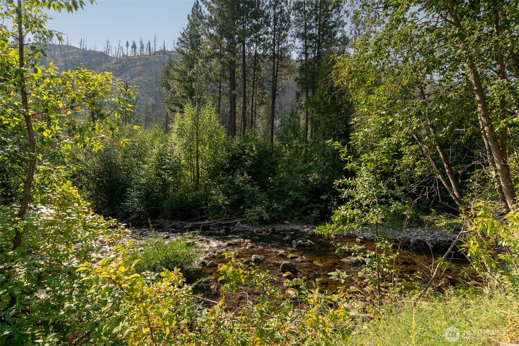 88-tbd Gold Creek Road Carlton, WA 98814 - Photo 2 of 39 a view of outdoor space and trees all around