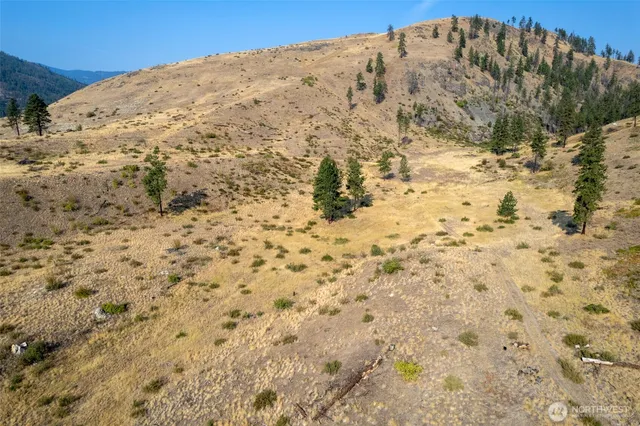 a view of a big yard with a mountain