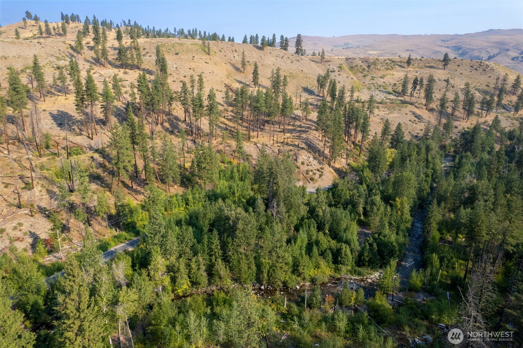 88-tbd Gold Creek Road Carlton, WA 98814 - Photo 23 of 32