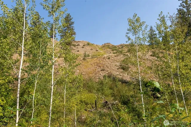 a view of a covered with trees in the background
