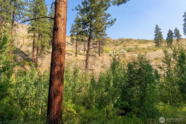 a view of mountain view with lots of trees