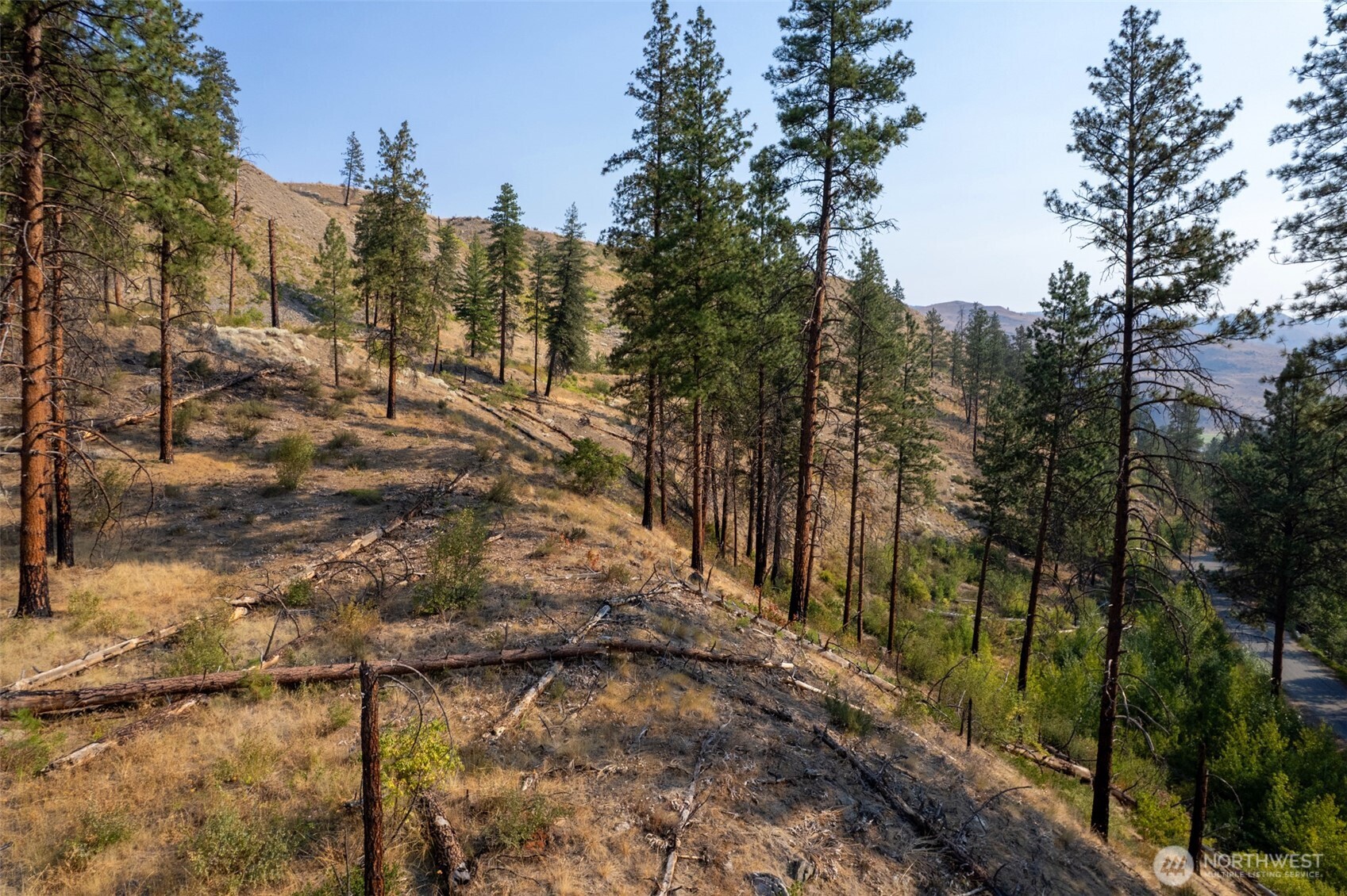 88-tbd Gold Creek Road Carlton, WA 98814 - Photo 27 of 39 a view of a yard with trees