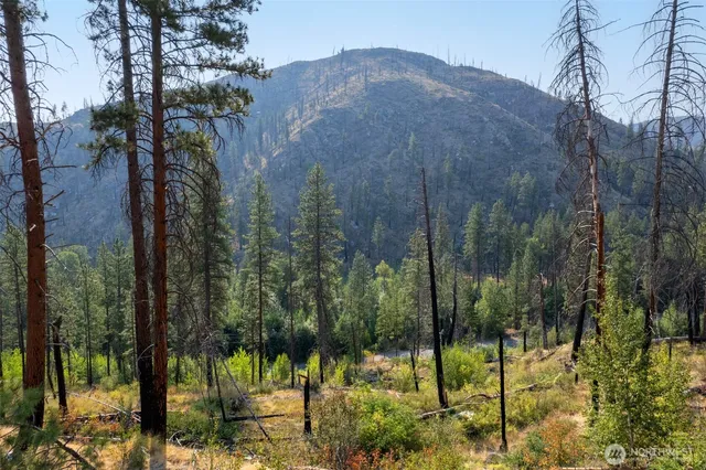 a view of a back yard