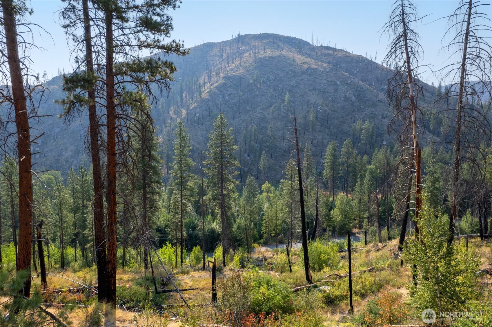 88-tbd Gold Creek Road Carlton, WA 98814 - Photo 28 of 39 a view of a back yard